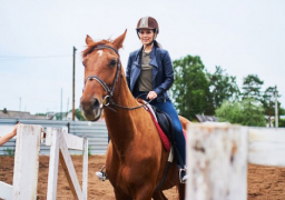 Конные прогулки Катание на лошадях - Подарки в Москве, подарочные сертификаты | интернет-магазин подарков с доставкой