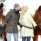 Прокат лошадей для двоих - Подарки в Москве, подарочные сертификаты | интернет-магазин подарков с доставкой