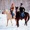 Прокат лошадей для двоих - Подарки в Москве, подарочные сертификаты | интернет-магазин подарков с доставкой